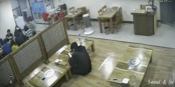 식당에 멧돼지 난입 gif | 인스티즈