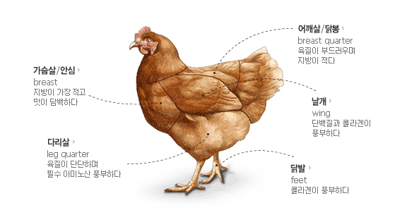 소고기 vs 닭고기 vs 돼지고기 | 인스티즈