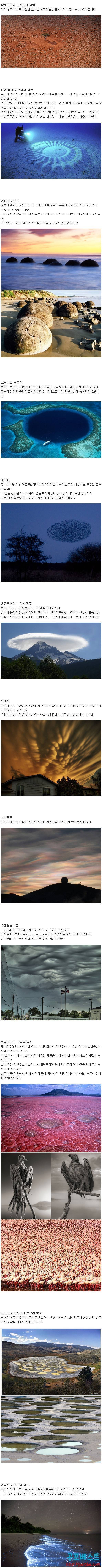 지구의 진귀한 광경들 | 인스티즈