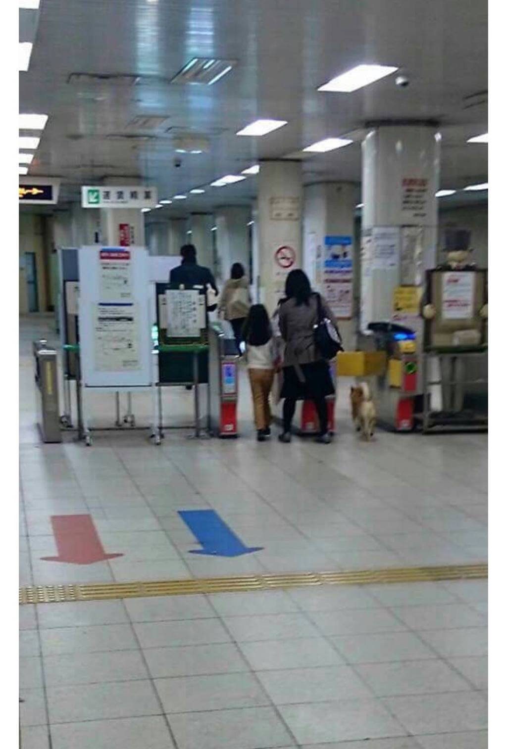 와..무임승차..ㄷㄷ | 인스티즈