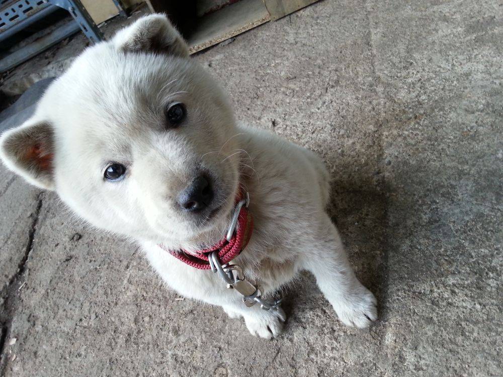 할아버지 할머니 눈에 보이는 손자 손녀 | 인스티즈