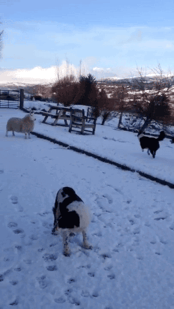 유전만큼 환경이 중요한 이유 | 인스티즈