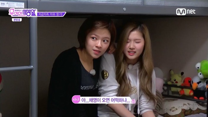 트와이스 사나가 자주쓰는거같은 말 | 인스티즈