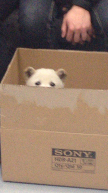 어서 와 지하철은 처음이지? | 인스티즈