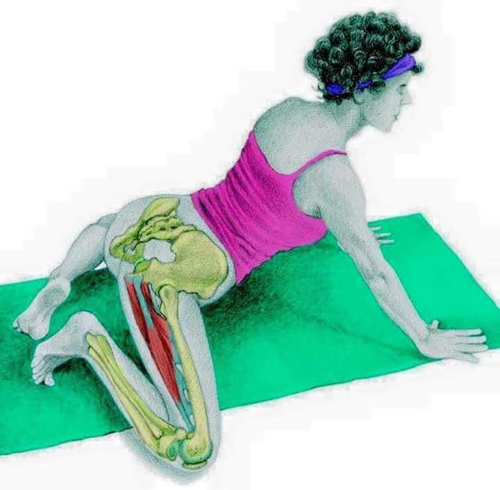 각 스트레칭별 자극이 가는 부위들 | 인스티즈