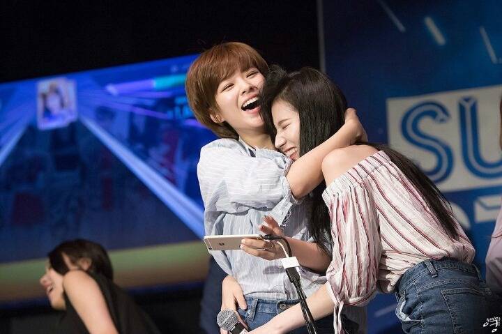 트와이스 애완 멤버.gif | 인스티즈