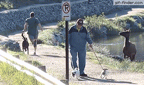 조깅중에 일어난 일 | 인스티즈