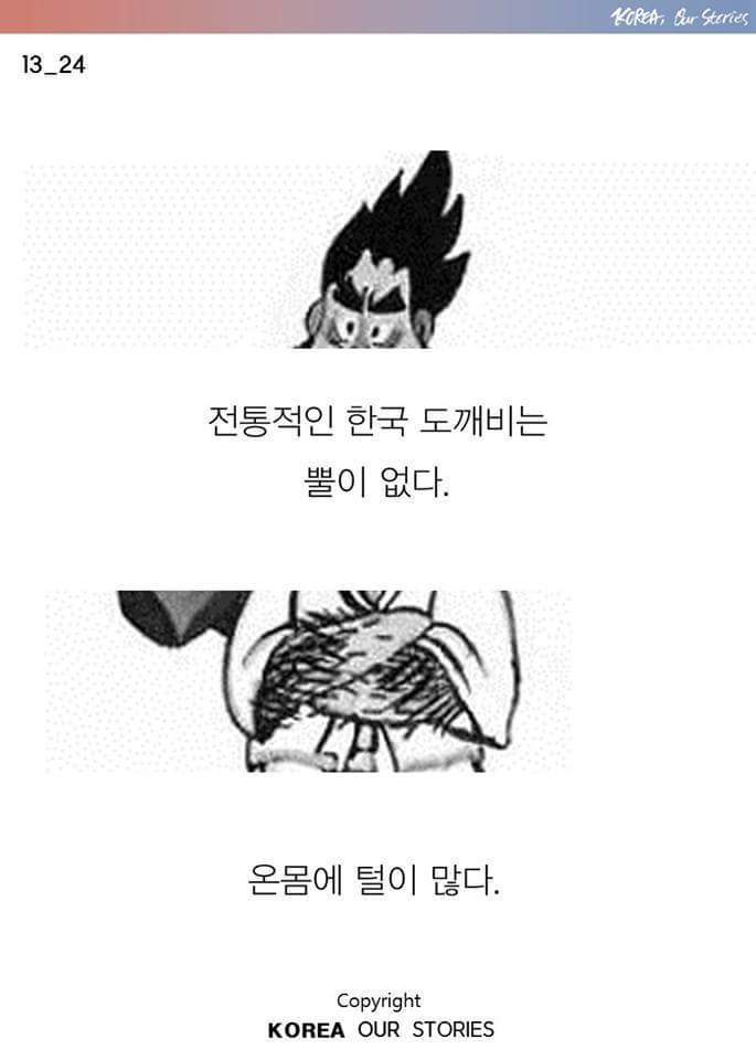 도깨비의 오해와 진실 | 인스티즈