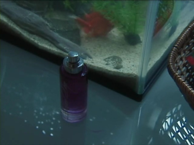 [소름] 언제나 일어날 수 있는 감시의 형태.jpg | 인스티즈