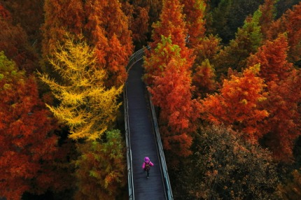 2017년 대한민국 관광사진 수상작 모음 | 인스티즈