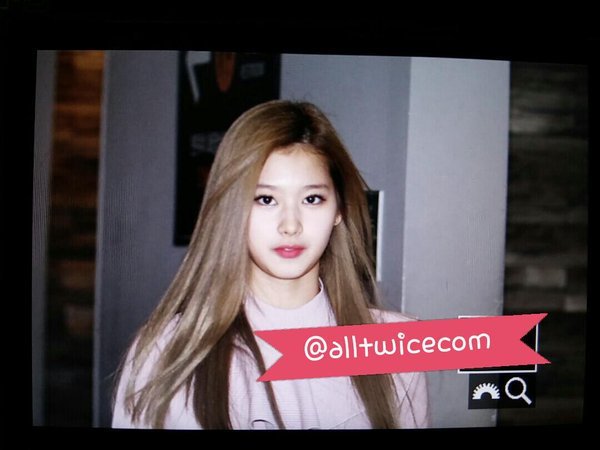 미나하다 사나한다 | 인스티즈