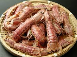 먹어본 사람만 안다는 진정한 밥도둑 | 인스티즈