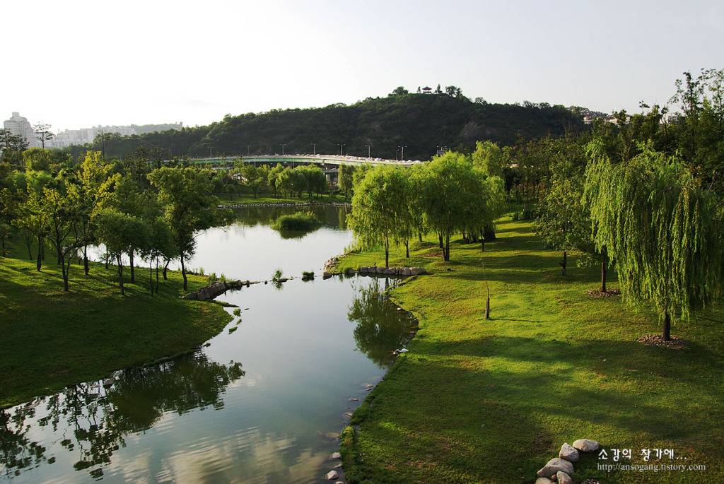 세계 주요 도시들의 센트럴 파크 | 인스티즈