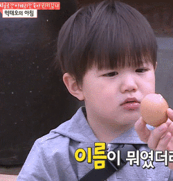 [오마이베이비] 태린이의 모든걸 따라하는 누나바라기 태오ㅋㅋㅋㅋ | 인스티즈