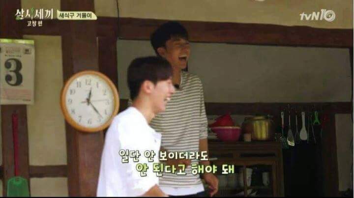 강아지가 안 보일때 꿀팁 | 인스티즈