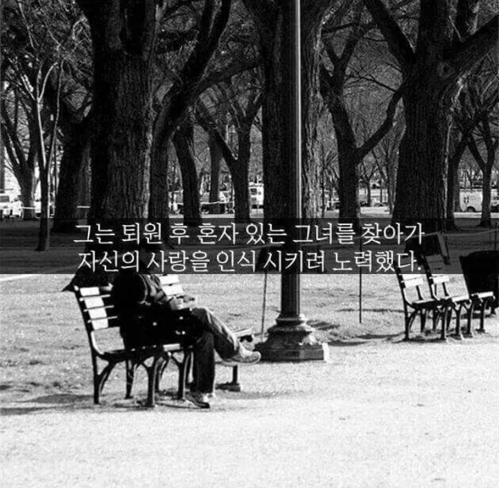 신혼여행 떠나다가 교통사고난 부부.JPG | 인스티즈