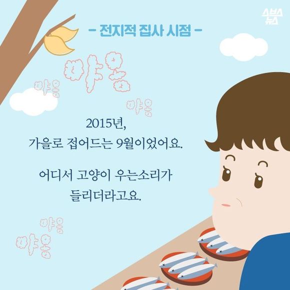  생선 싫어하는 생선 가게 고양이 | 인스티즈