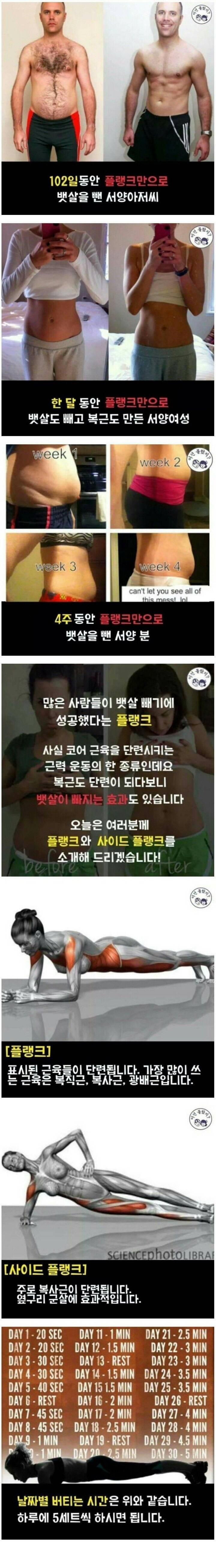 플랭크 운동의 위엄.JPG | 인스티즈