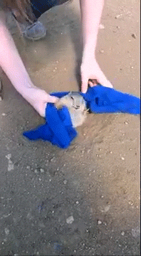 피지 제거 | 인스티즈