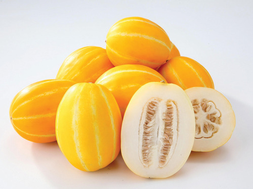 참외 vs 오렌지 .jpg | 인스티즈