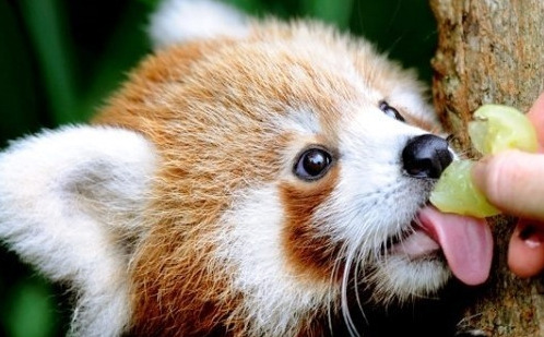 흉포함의 대명사 (잔인주의) | 인스티즈