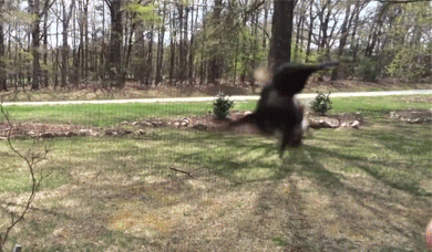 ??? : 코 건들지마 | 인스티즈