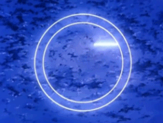 도막사라무 | 인스티즈