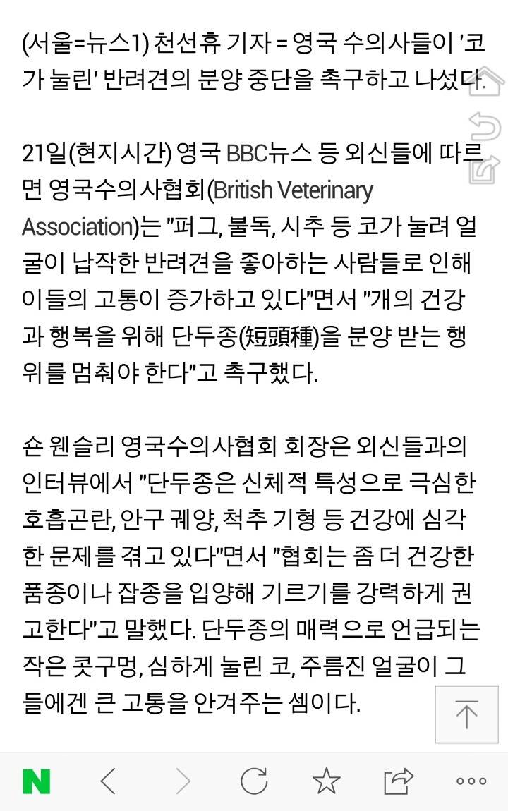 영국 수의사들 "코 눌린 개 키우지 마라" | 인스티즈