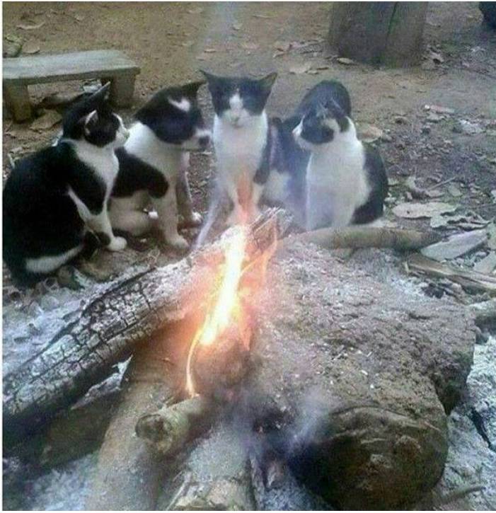 우리중에 분명 스파이가있어.. | 인스티즈