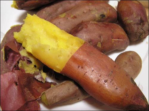 진심 내가 기획사 차려서 데뷔시키고 싶다 | 인스티즈