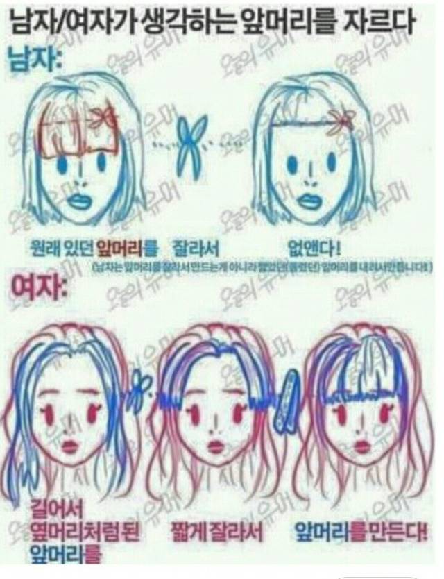 남녀가 생각하는 앞머리 자르기 | 인스티즈
