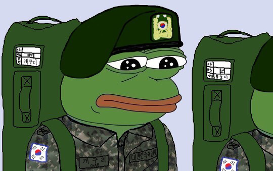 개구리 짤들 | 인스티즈