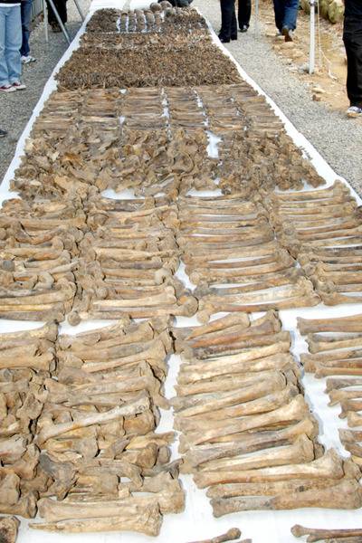 다음정권에선 언론 및 사회에서 빨갱이라는 단어가 사라져야할 이유 | 인스티즈