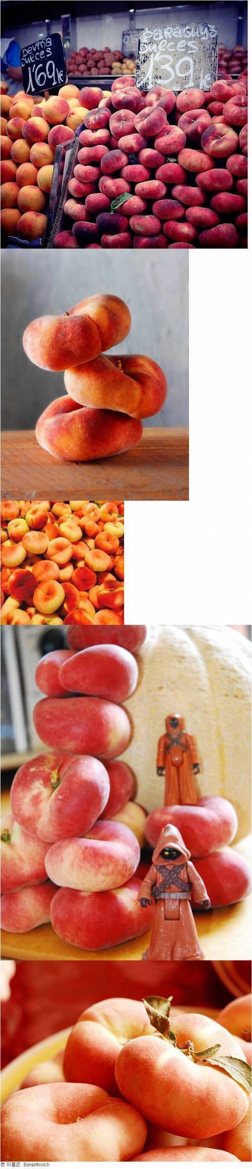 우리나라에서 보기 힘든 납작복숭아.jpg | 인스티즈