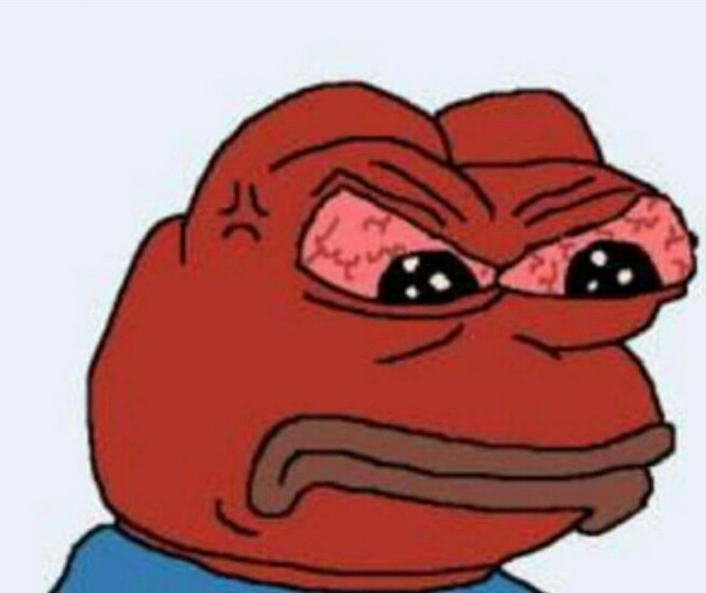 개구리 짤들 | 인스티즈