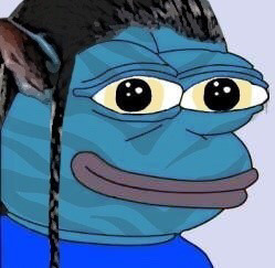 개구리 짤들 | 인스티즈