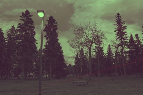  당신을 바로 눈앞에서 보고 있으면서도 나는 여전히 당신이 그리웠다 | 인스티즈