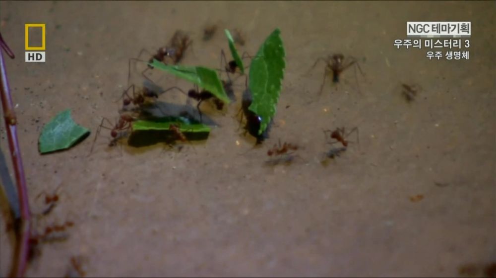 과학자들의 외계 생명체를 찾기위한 노력들.jpg | 인스티즈