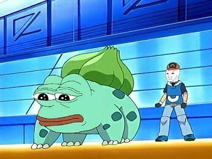 개구리 짤들 | 인스티즈