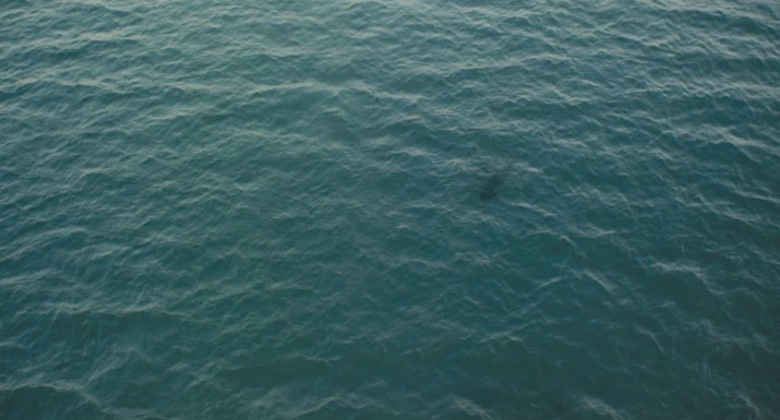 보고 나면 후유증이 너무 어마어마해서 두번은 못보는 영화 한공주 캡쳐 | 인스티즈