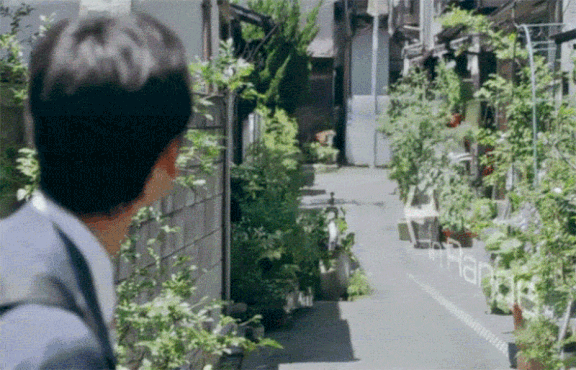  한국 일부 지역에서 되고 인증샷 올라온 포켓몬 고 | 인스티즈