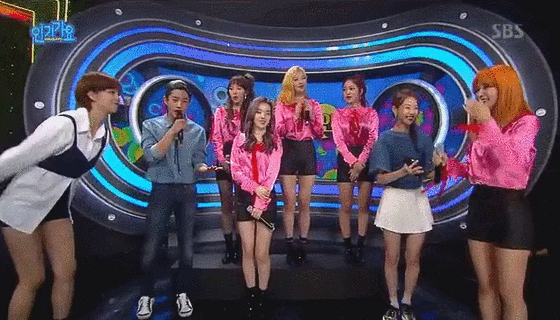 레드벨벳 슬기와 트와이스 정연의 타조 콜라보ㅋㅋㅋㅋ | 인스티즈