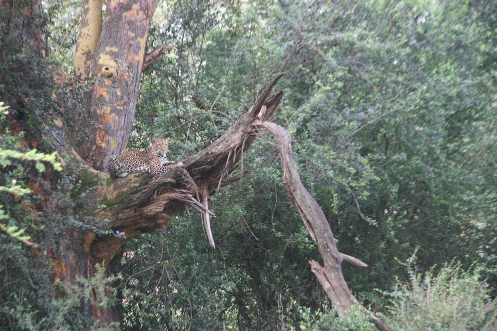 유럽여행보다 더 비싸다는 아프리카 여행 | 인스티즈