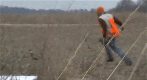 오버워치 우리팀 시리즈.gif | 인스티즈