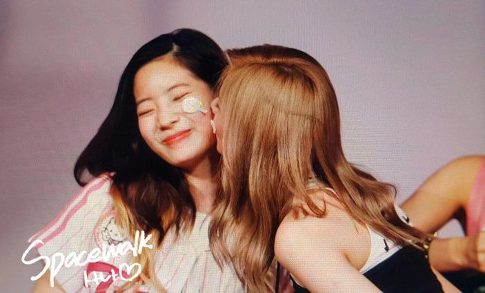 트와이스 애완 멤버.gif | 인스티즈