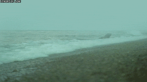 ??? : 코 건들지마 | 인스티즈