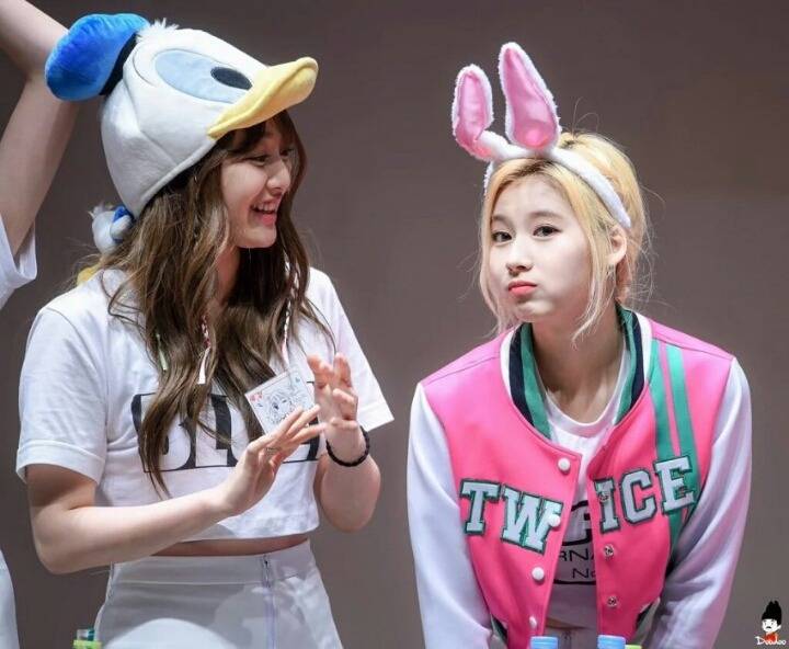 트와이스 애완 멤버.gif | 인스티즈