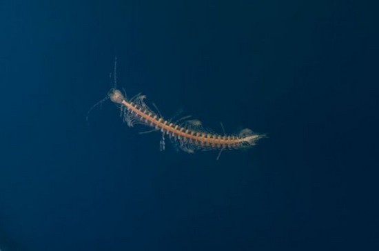 블루홀 끝까지 탐사하기!!! .jpg | 인스티즈