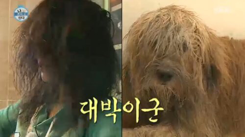 머리 긴 사람들이 운동하기 힘든 이유 | 인스티즈