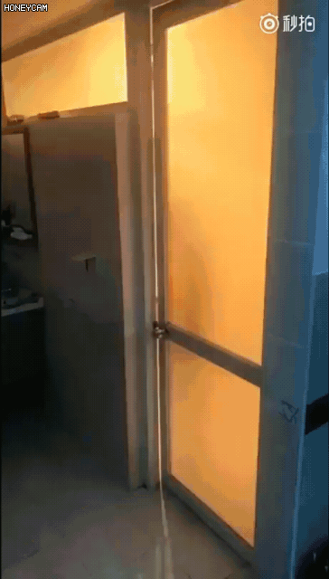 여동생에게 장난을 침.gif | 인스티즈